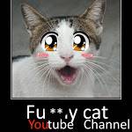 Fu**y Cat Profile Picture